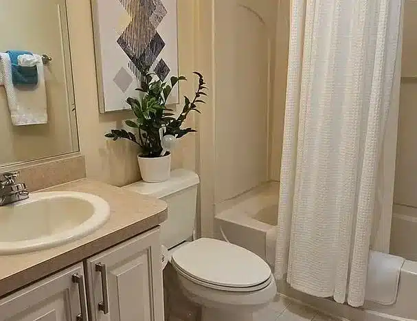 48edeb7573be5e955704e91c8ea666c0 cc ft 1536