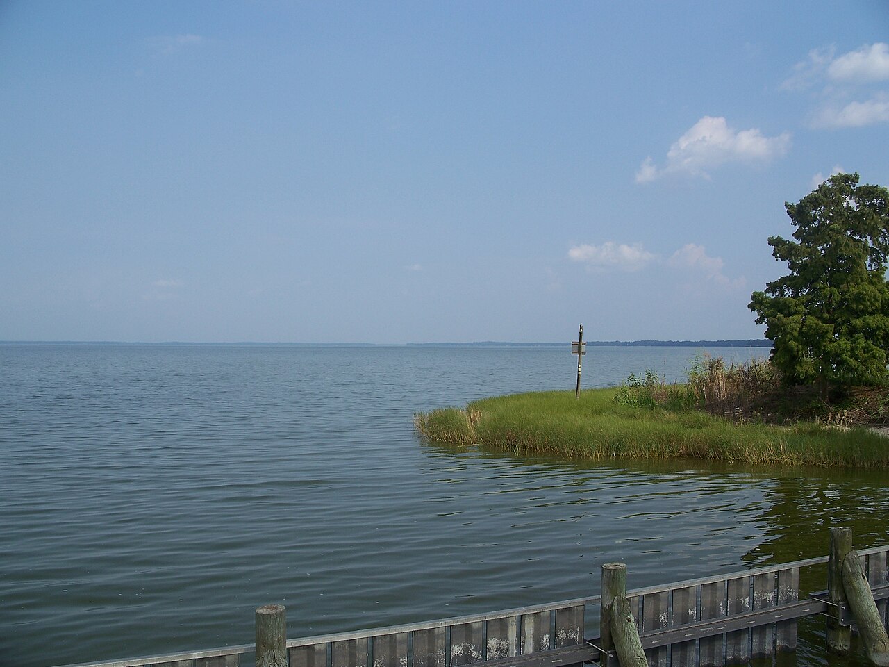 Lake Harris shoreline in Leesburg, Florida