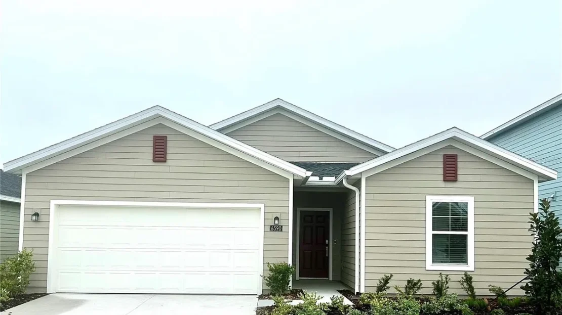 video image